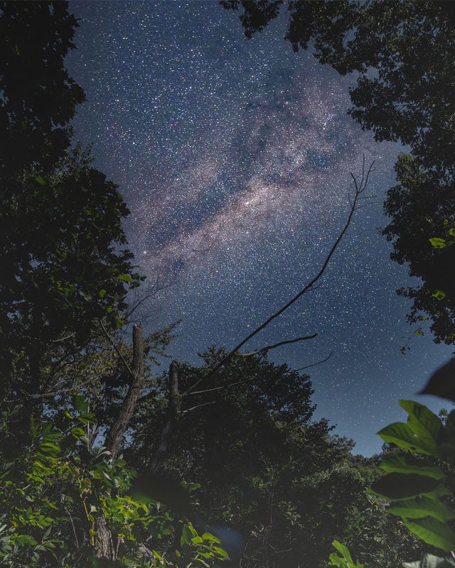 union county night sky