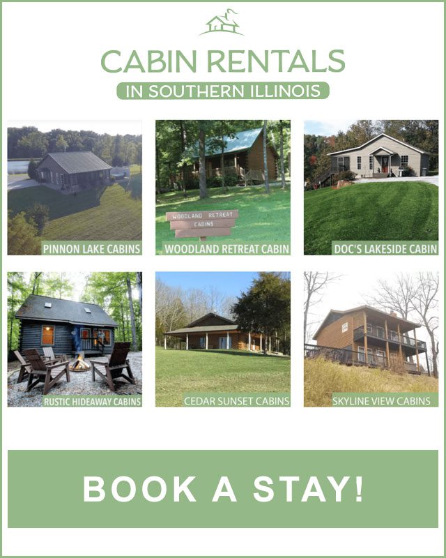 cabin rentals in southern illinois graphic