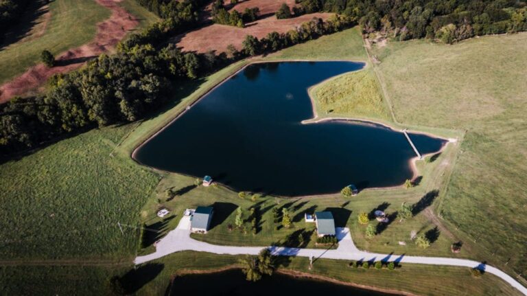 DJI 0005 1024x575 1 768x431