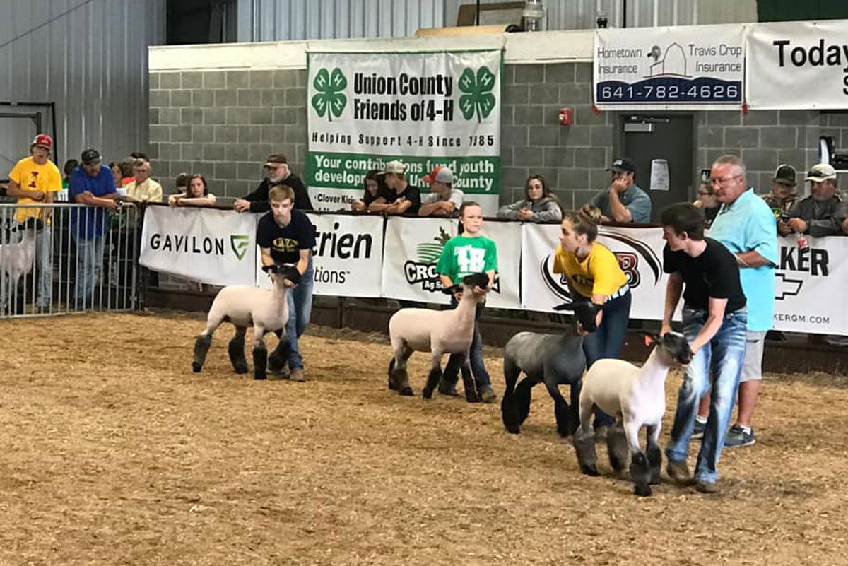 union county fair