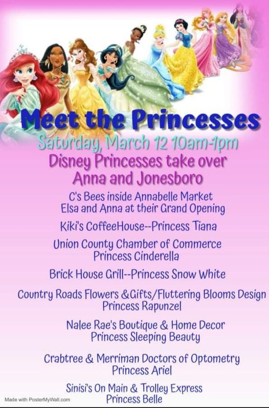 meet the princesses event flyer