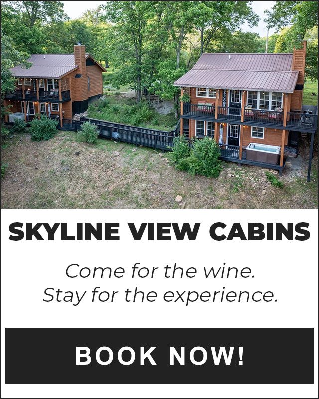 picture of skyline view cabins