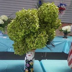 annabelle festival flower show