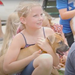 annabelle festival pet carnival